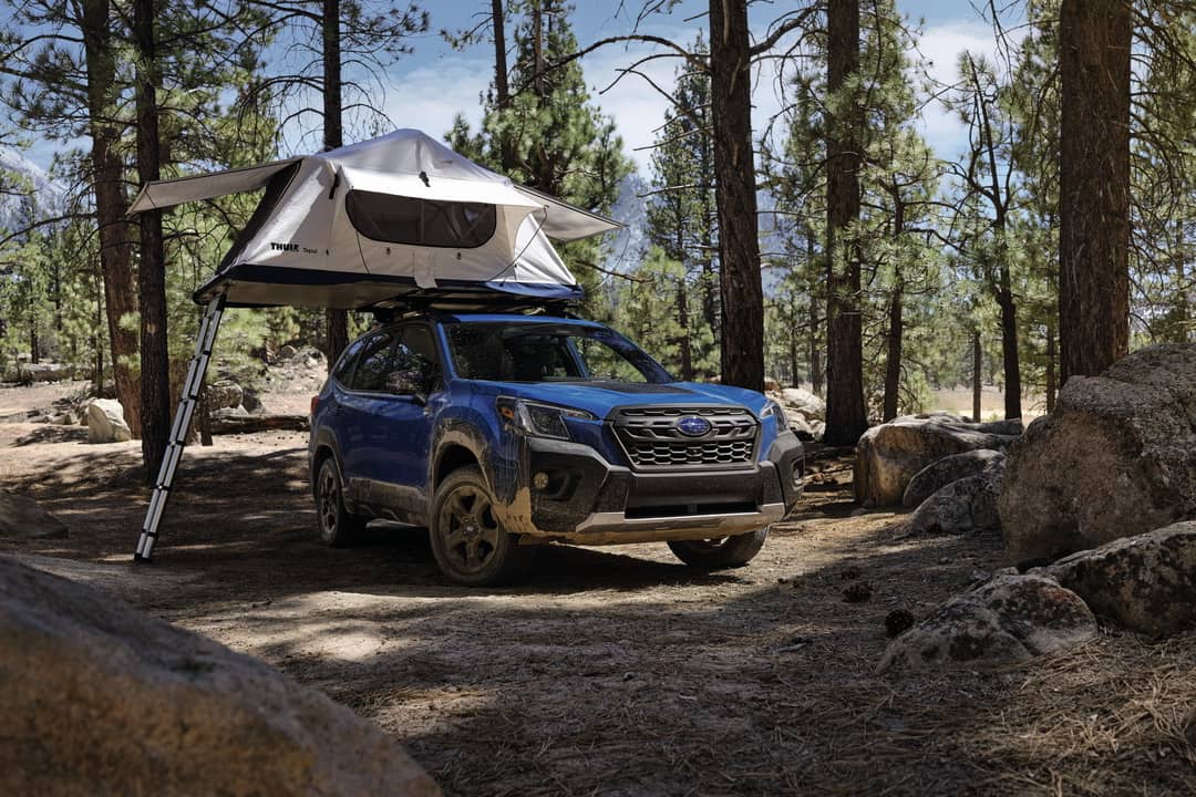 Subaru Forester Wilderness Roof tent