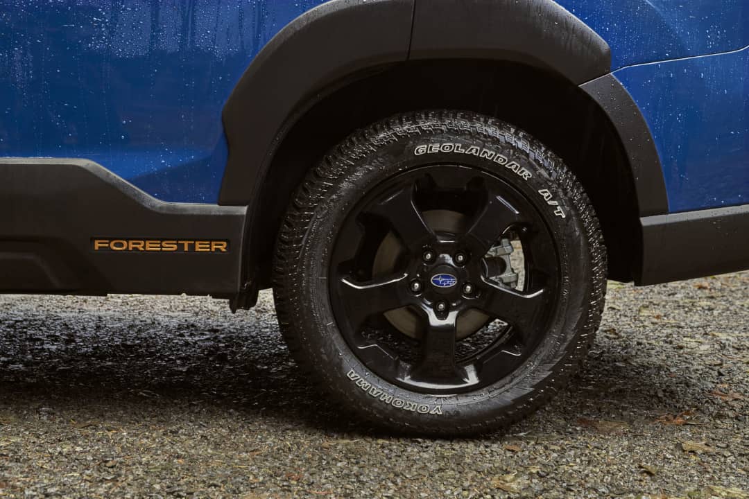 Subaru Forester Wilderness Wheel