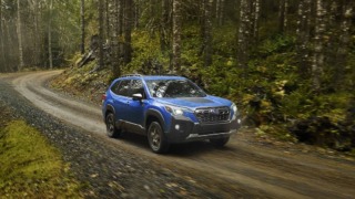 Subaru Forester Wilderness offroad